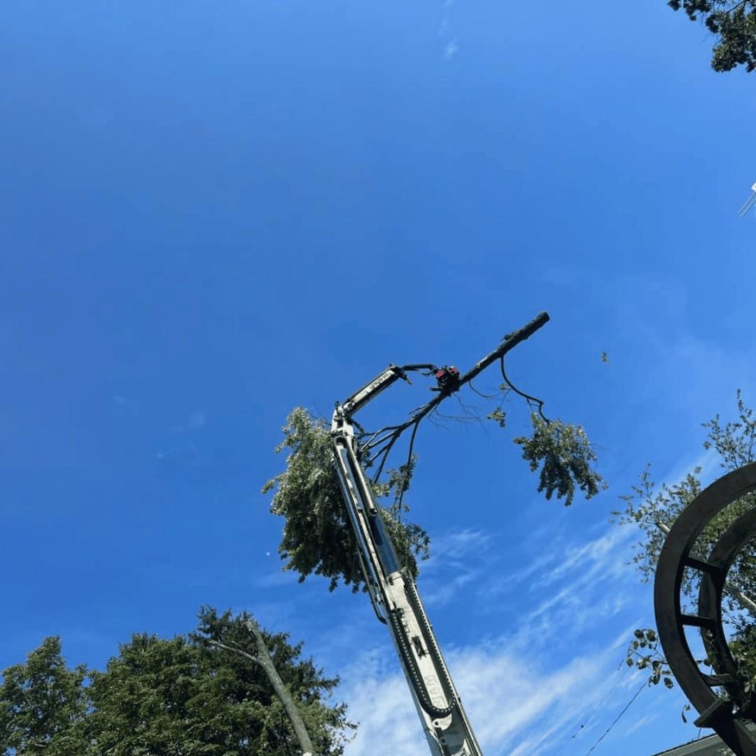 1 (2)