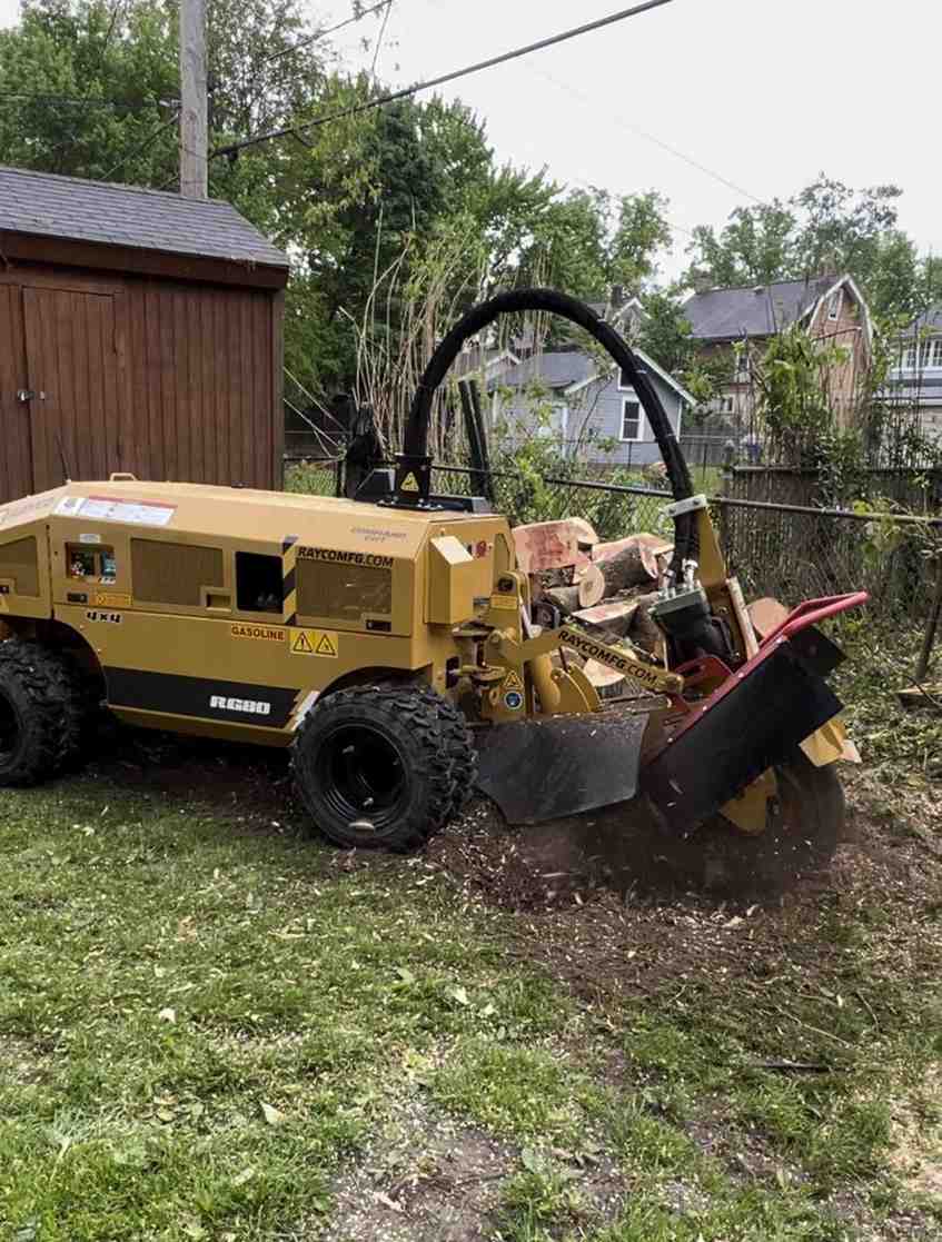 Tree Removal, Tree Cutting & Trimming, Stump Grinding, Emergency Storm Damage, Large Tree Removal